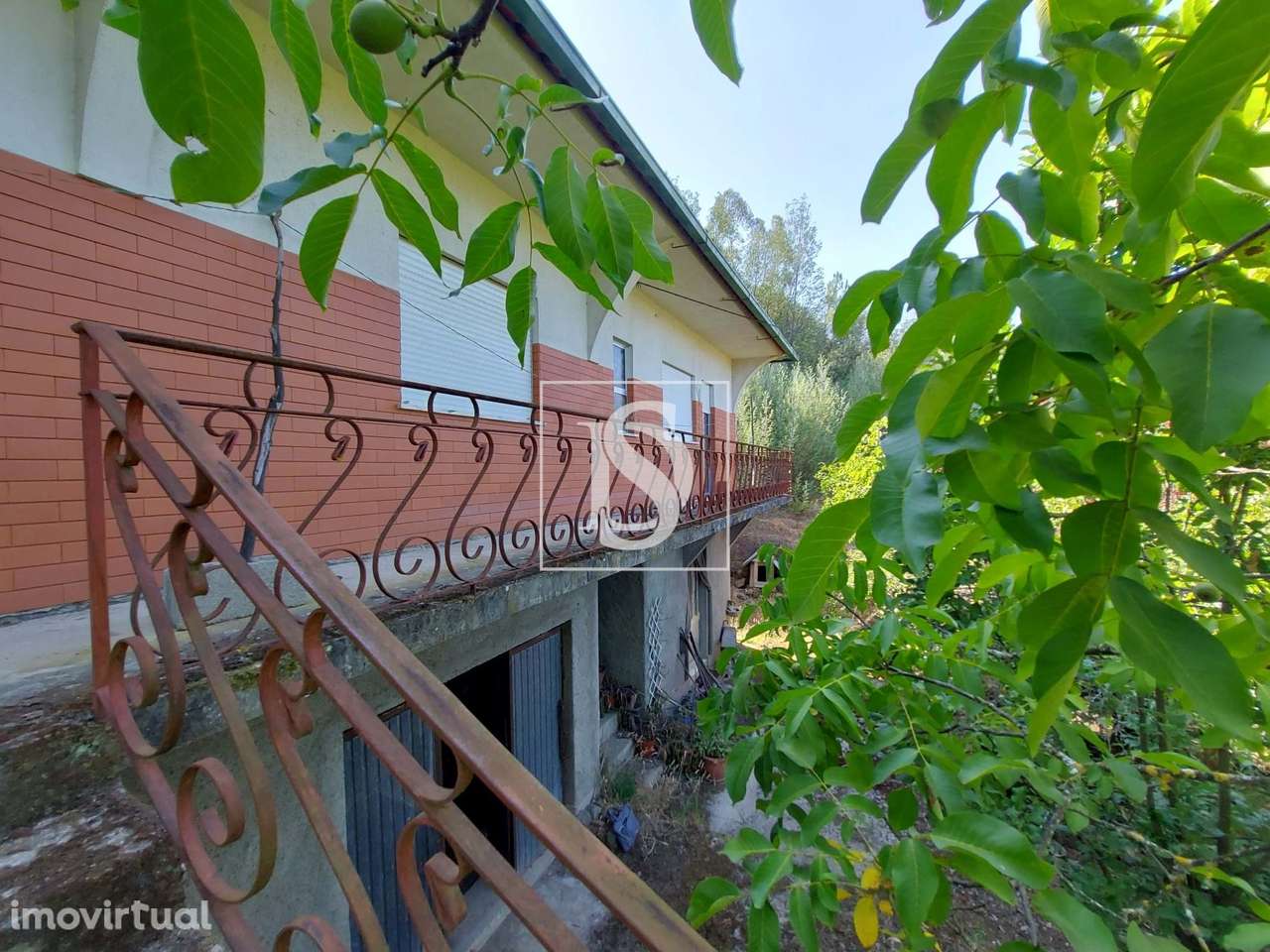 Quinta T3+1 , com 3,5ha de terreno - Grande imagem: 3/19