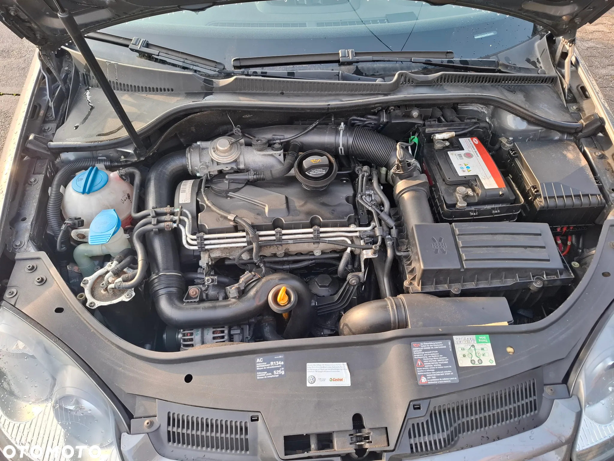 Volkswagen Golf - 5