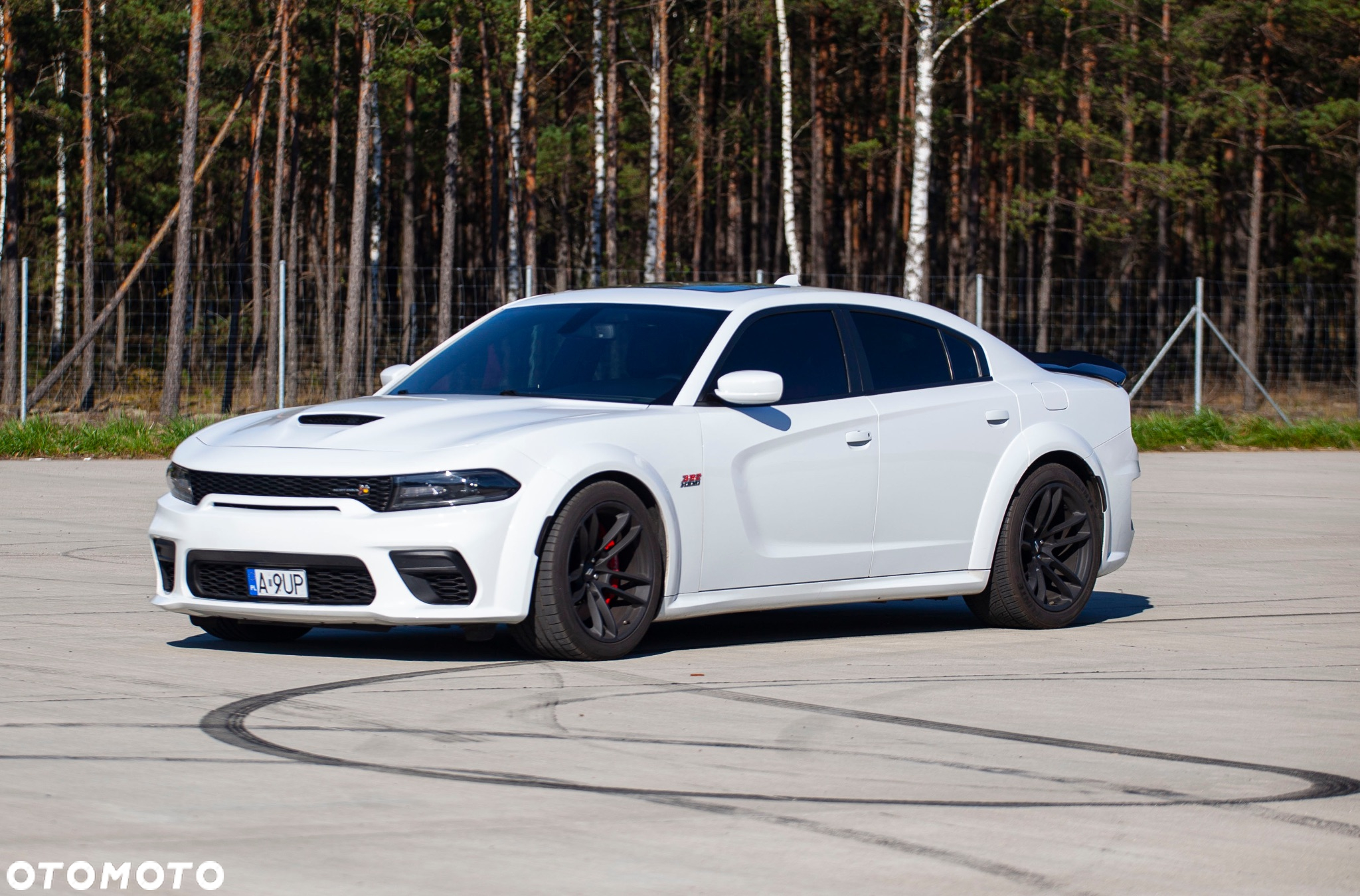 Dodge Charger 6.4 Scat Pack Widebody - 30