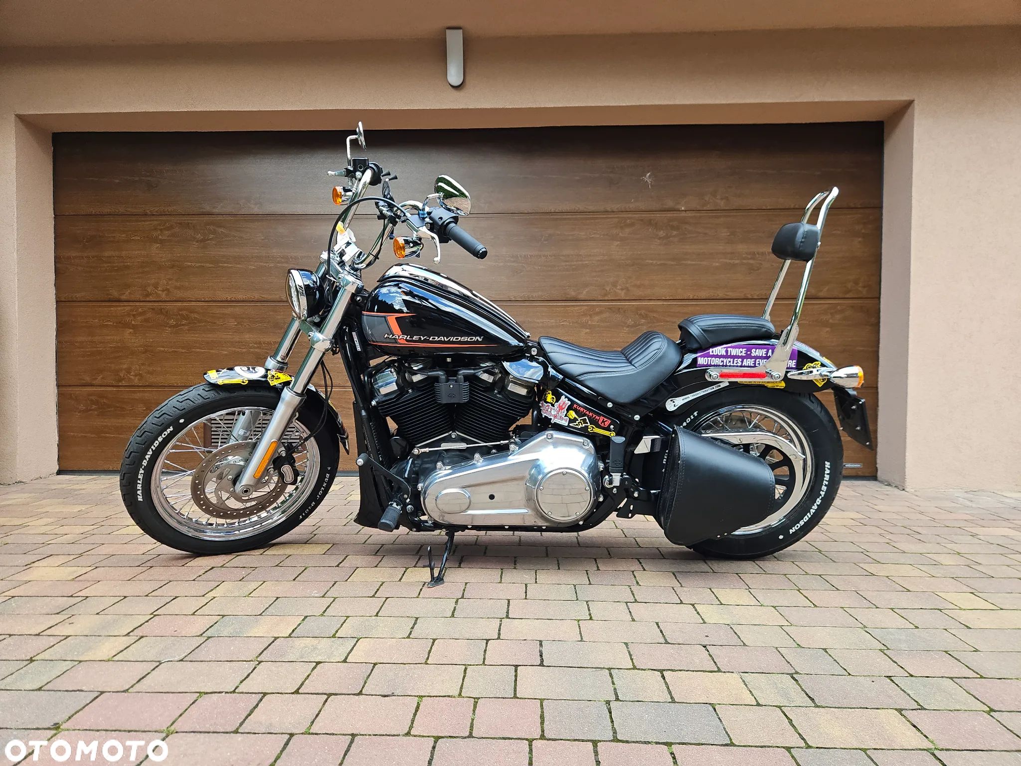 Harley-Davidson Softail Standard - 1
