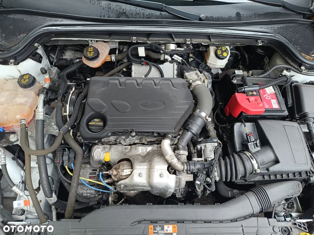 Ford Focus 1.5 EcoBlue Trend Edition - 33