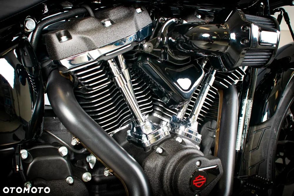 Harley-Davidson Softail - 13