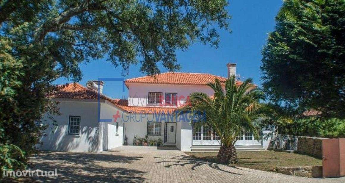 QUINTA - MONÇÃO  - VINHA COM  PRODUÇÃO VINHO ALVARINHO - Grande imagem: 2/22