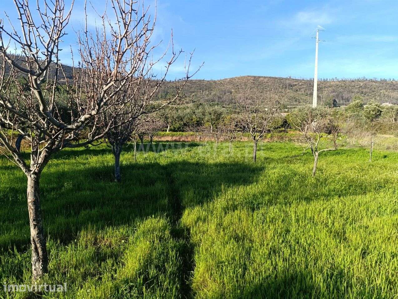 Terreno / Fundão, Monte Leal - Grande imagem: 4/11