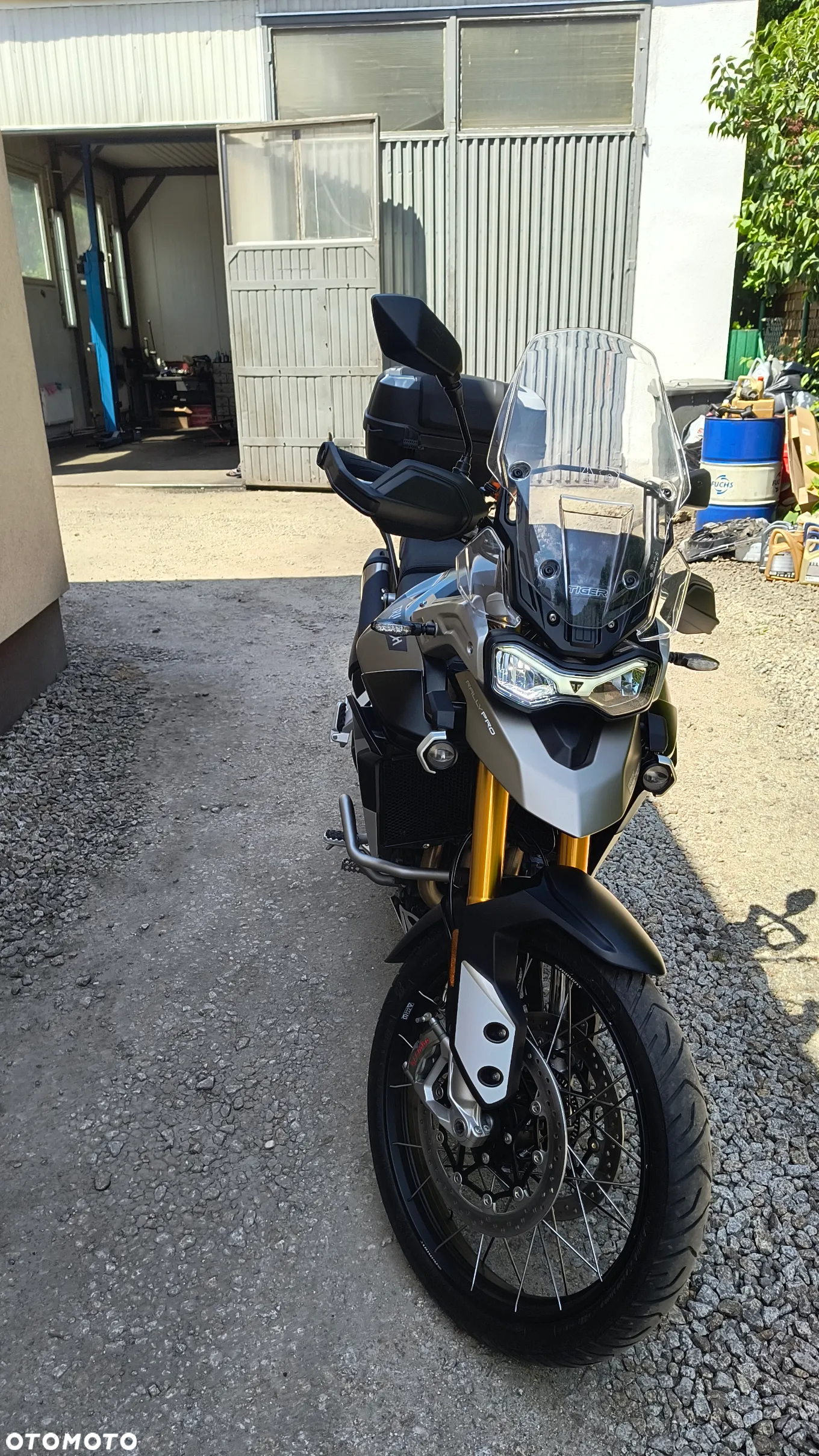 Triumph Tiger