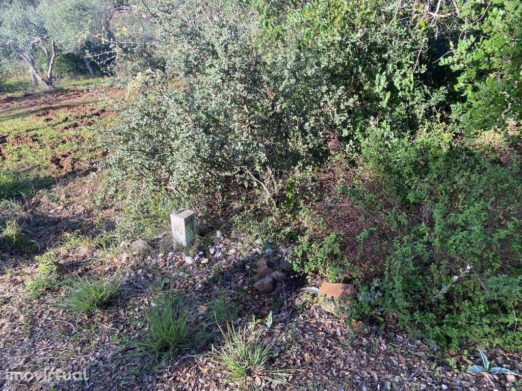 Terreno urbano localizado no Almarjão, Loulé, Algarve - Grande imagem: 5/21