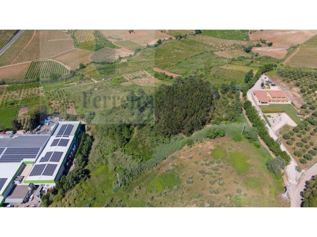 Terreno com mais de 1ha com grande área para construção - Grande imagem: 3/5
