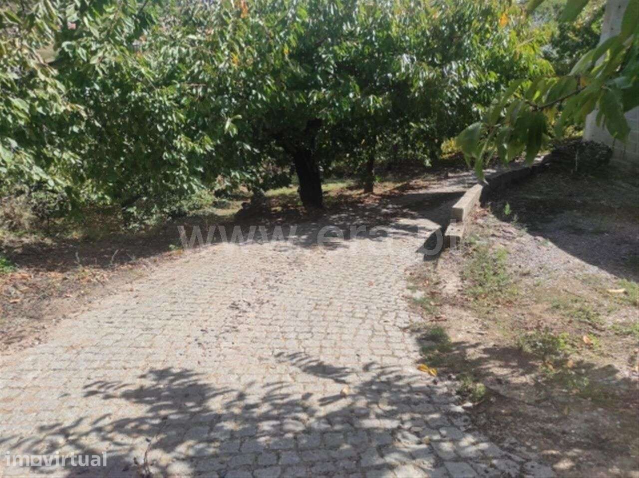 Quinta / Fundão, Alcongosta - Grande imagem: 3/7