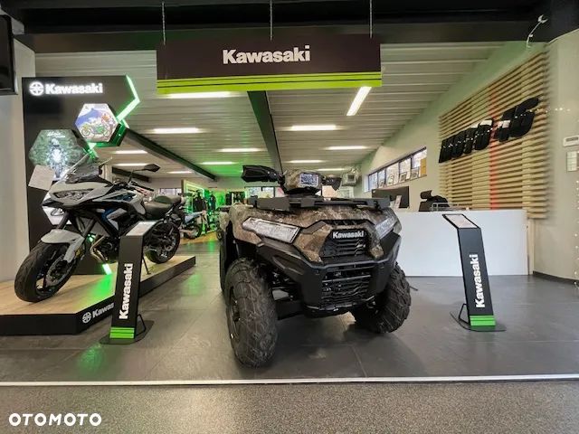 Kawasaki Brute Force - 3