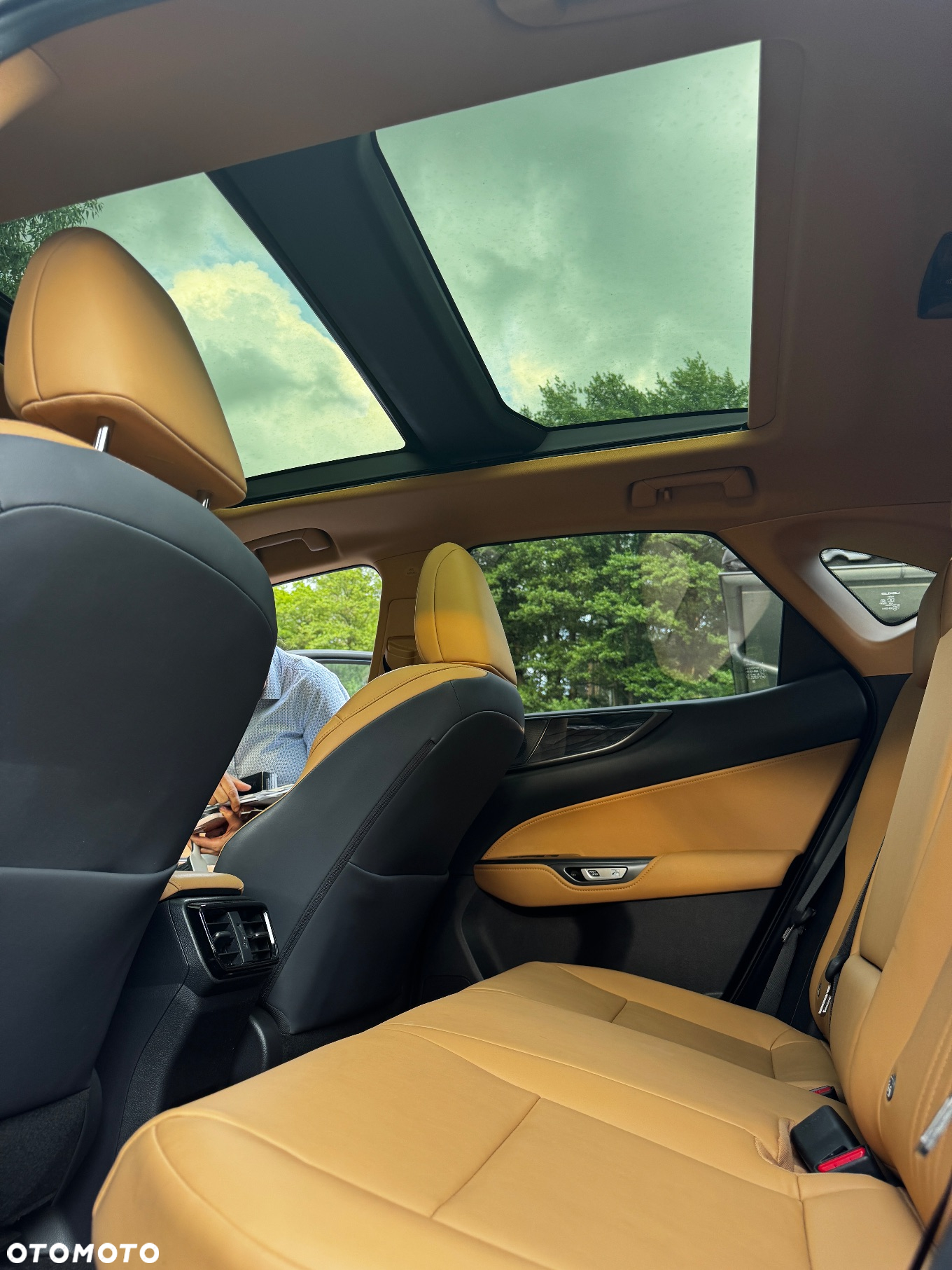 Lexus NX 300 GPF Prestige AWD - 12