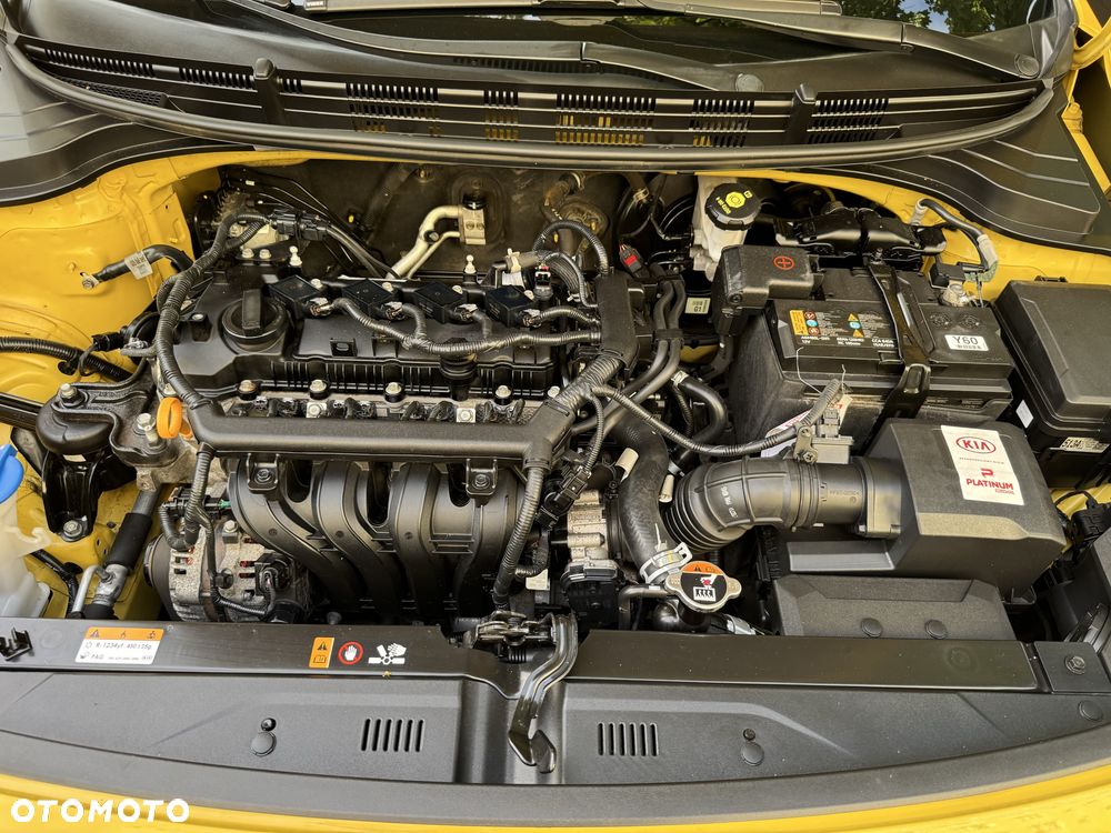 Kia Rio - 8