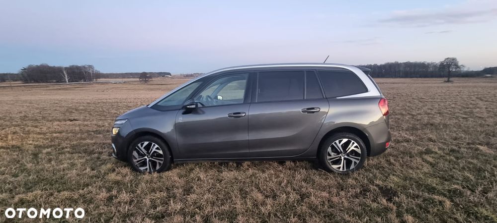 Citroën C4 SpaceTourer 1.2 PureTech Feel S&S EAT8 - 4