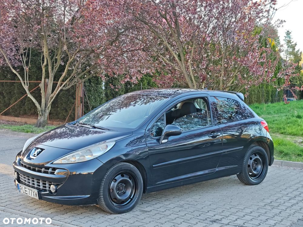 Peugeot 207 - 10