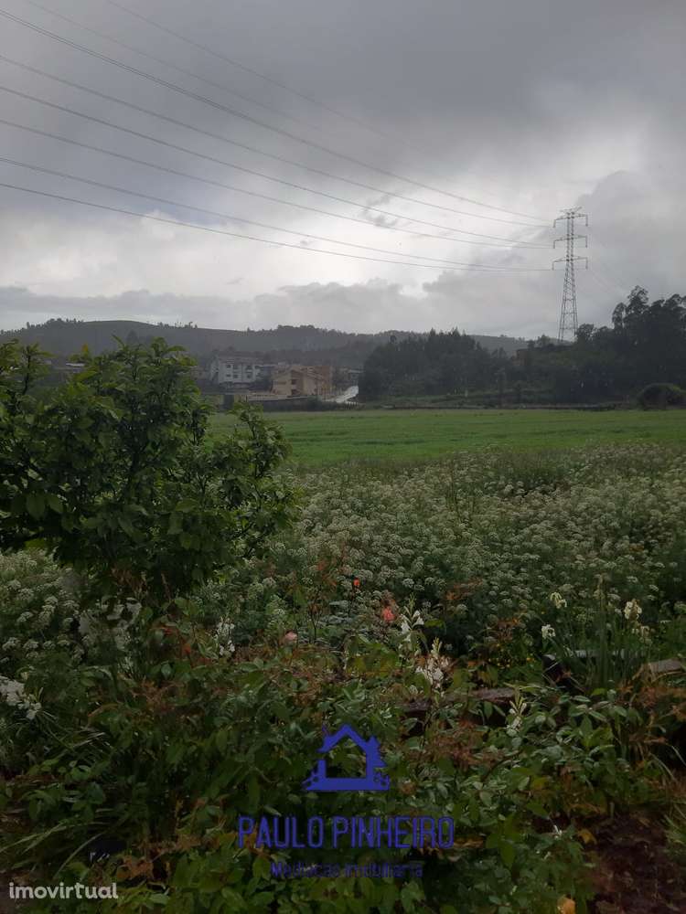 Terreno Sobrado - Grande imagem: 5/9