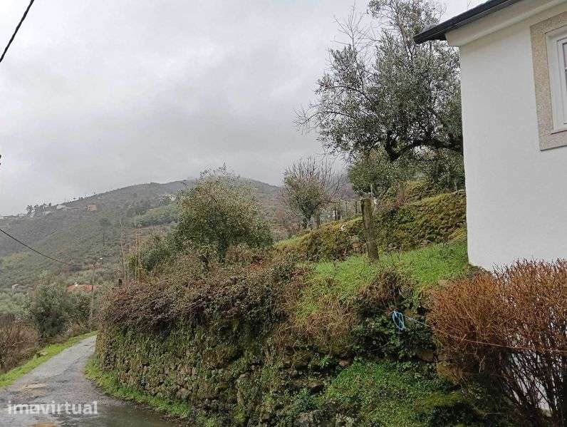 Terreno Único c/Ruína e Vista Serra  – Ideal Projeto Turístico/Refúgio - Grande imagem: 2/11