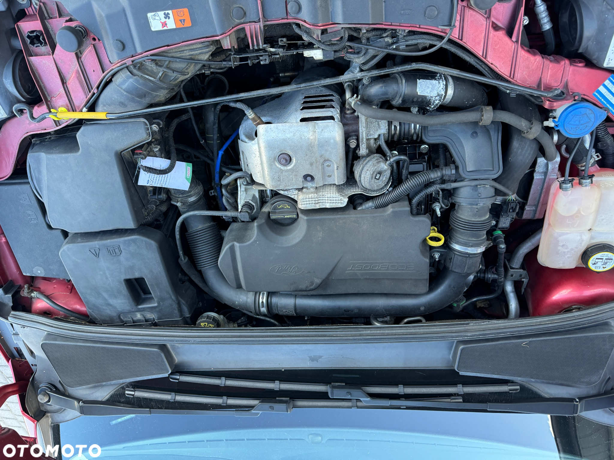 Ford Focus 1.0 EcoBoost Start-Stopp-System - 10