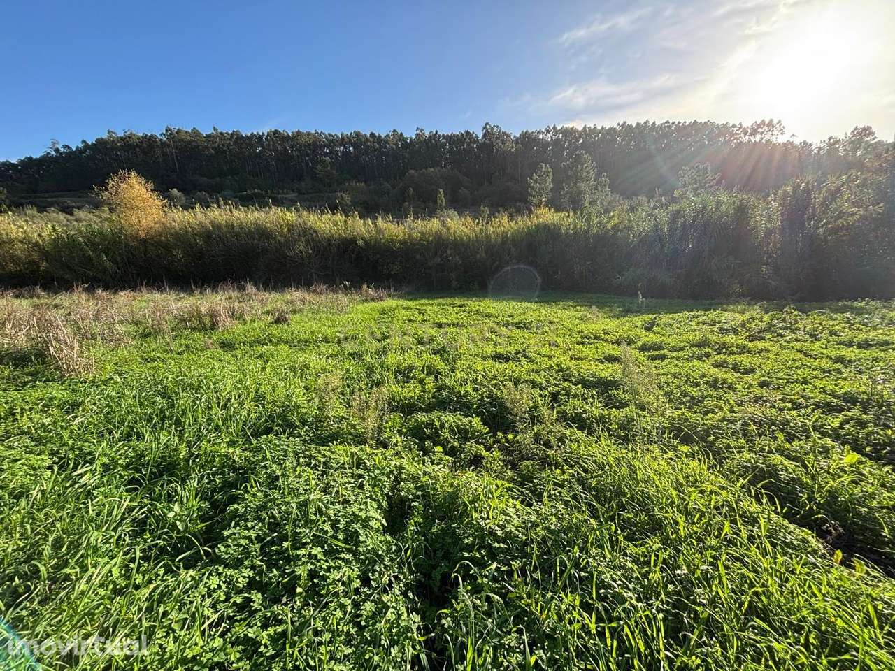 Terreno em localização privilegiada, com ótima exposição solar, na fre - Grande imagem: 4/8