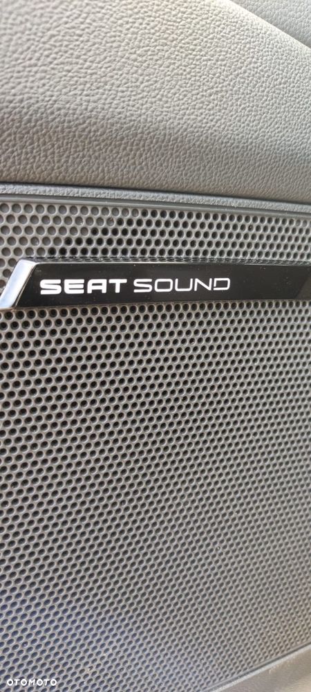 Seat Leon 2.0 TDI DPF DSG FR - 14