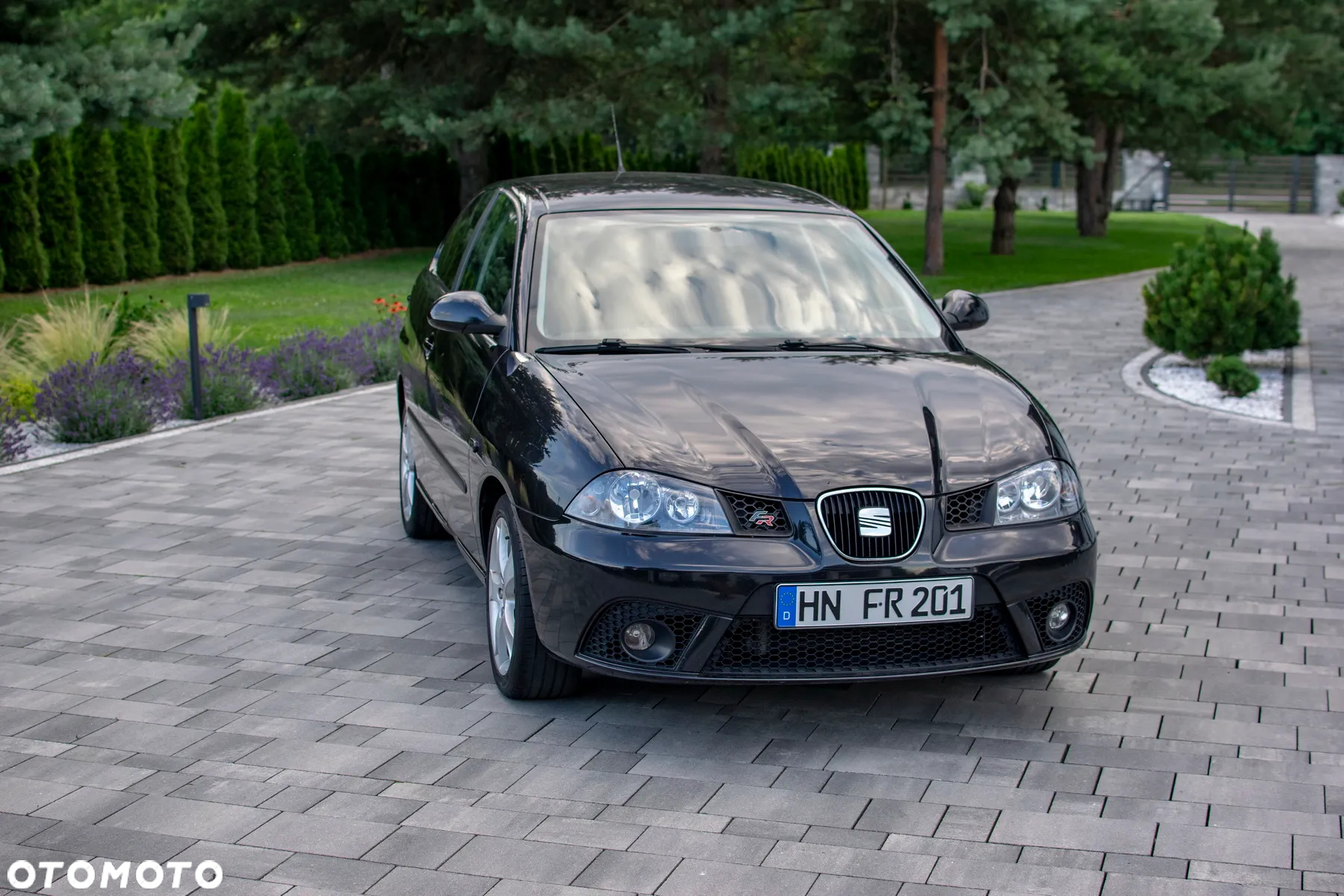 Seat Ibiza - 11