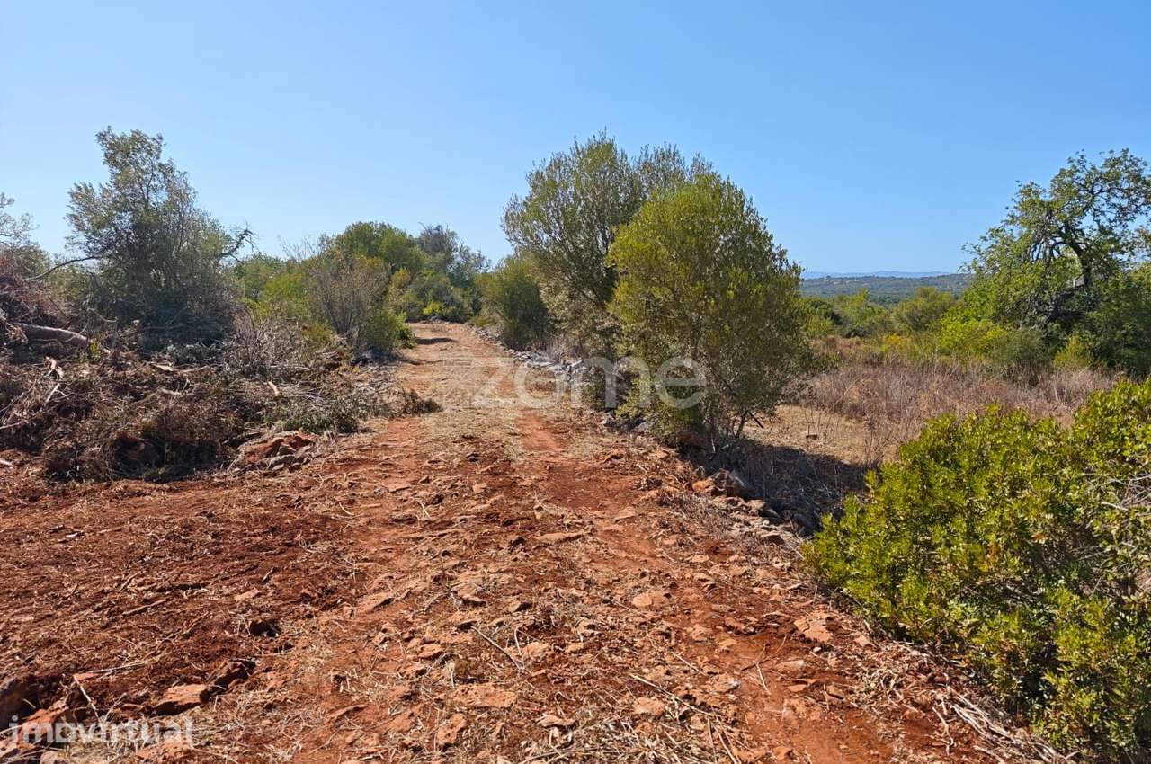 Terreno Rústico com 4.000m2 em Alturas, Alcantarilha - Grande imagem: 5/13