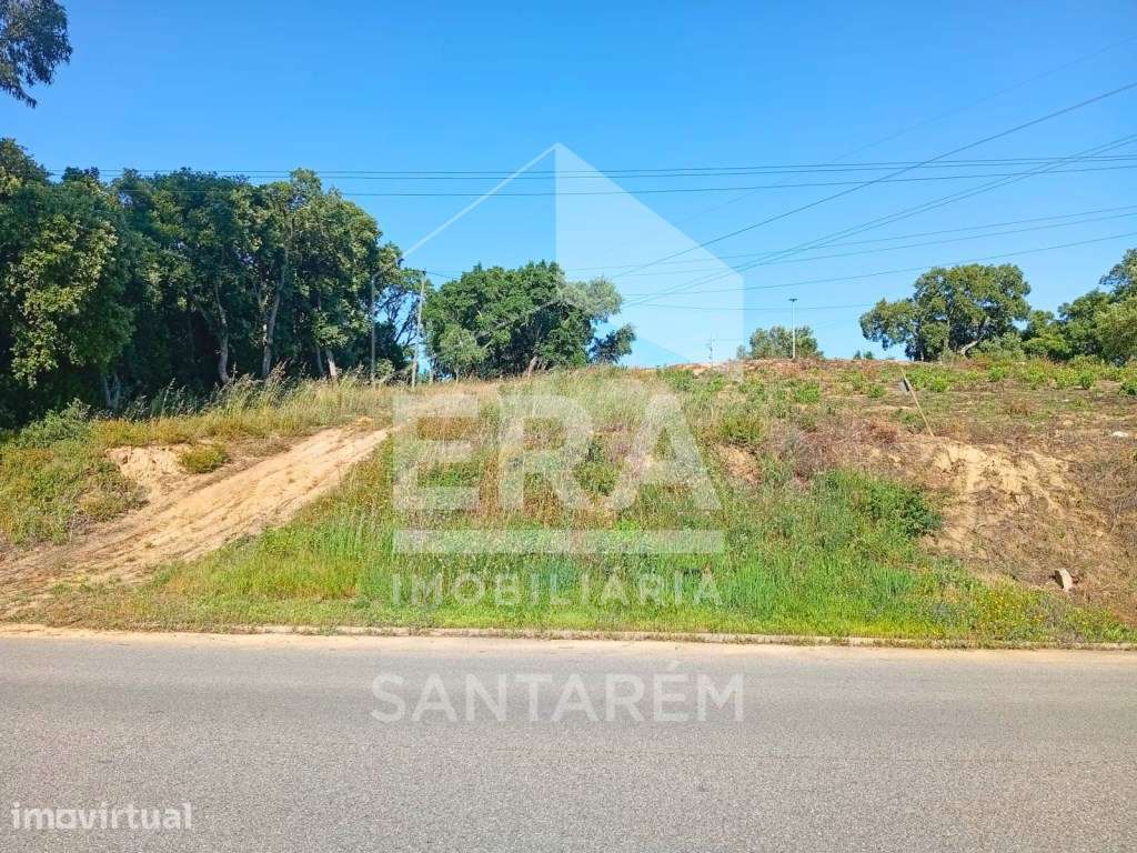 Lote de terreno em Santarém
