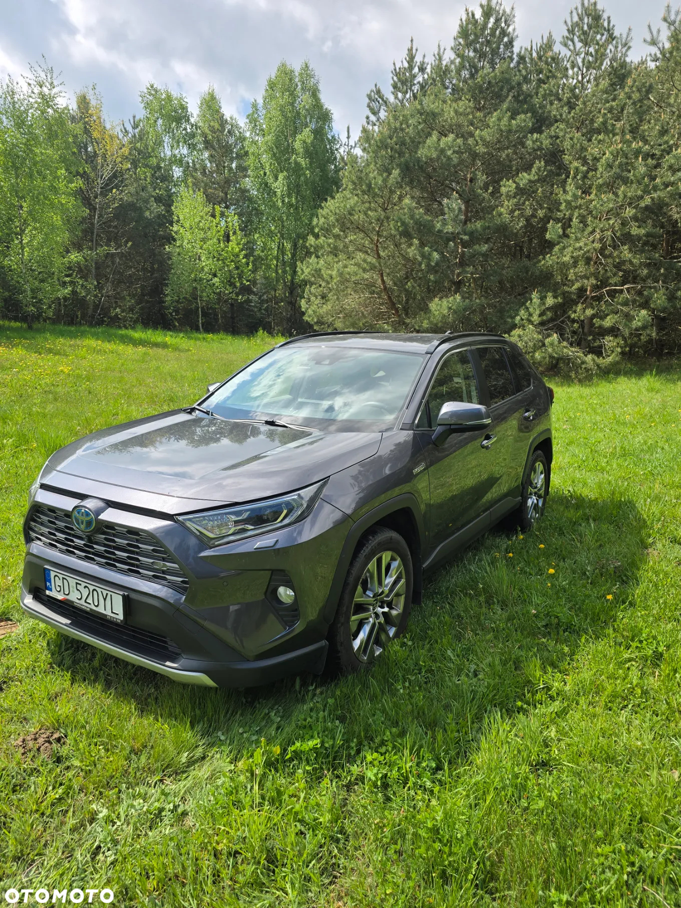 Toyota RAV4 2.5 Hybrid Executive 4x2 - 3