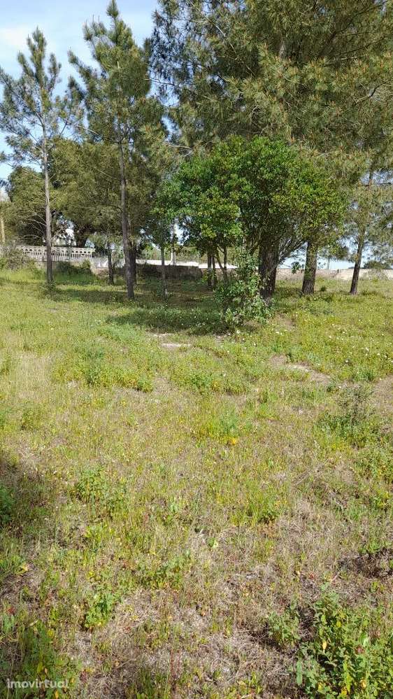 Setúbal/Padeiras Quinta 5000m2 para moradia. - Grande imagem: 3/20