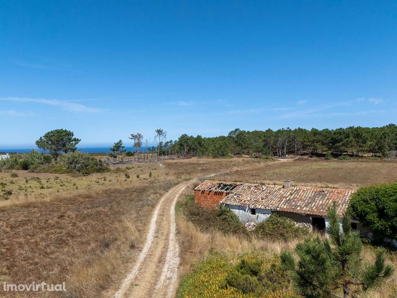 TERRENO RÚSTICO COM 2 RUINAS À BEIRA-MAR NO ROGIL, ALJEZUR - Grande imagem: 3/14