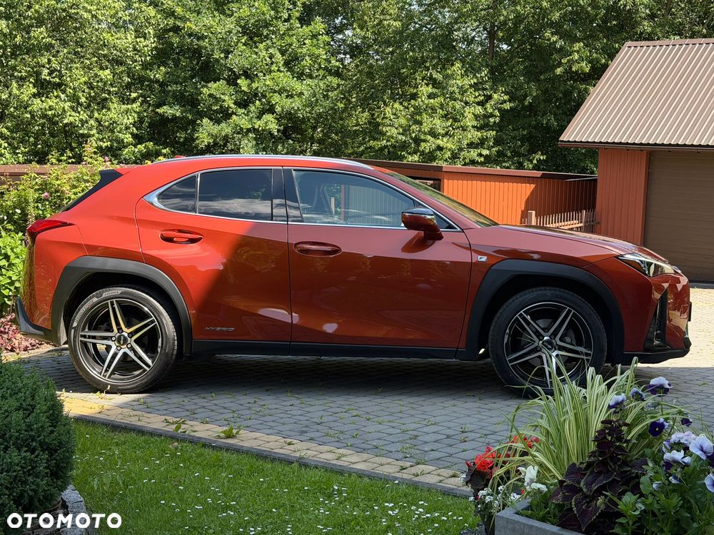 Lexus UX 250h GPF F Sport AWD - 11