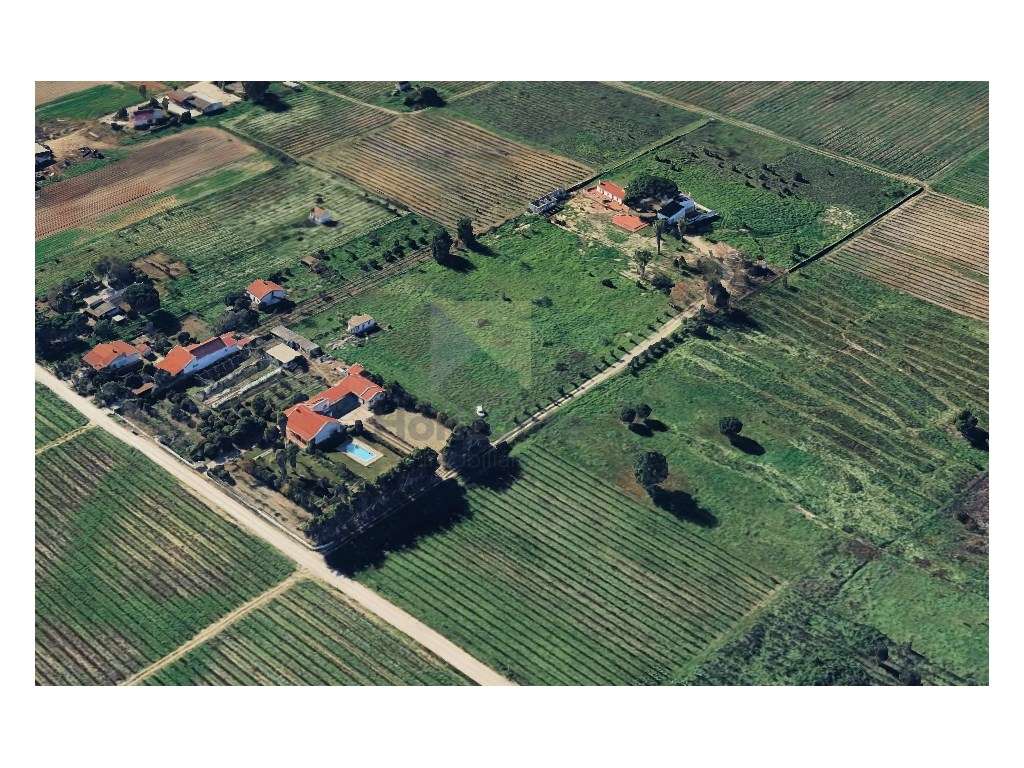 LOTE DE TERRENO COM 6000M2 - ENTRE PINHAL NOVO E PALMELA - Grande imagem: 5/8