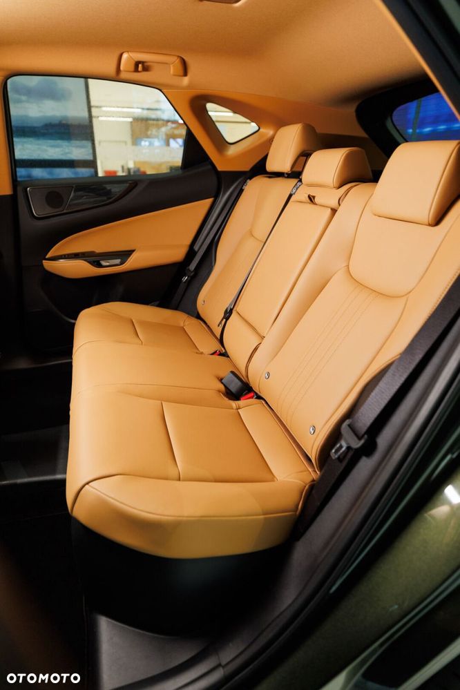 Lexus NX - 21