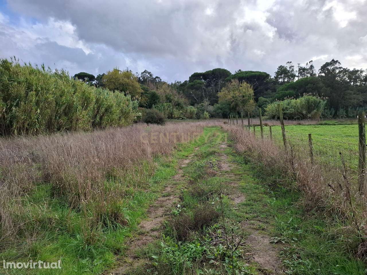 Terreno rústico - 5312m² - Asseiceira Grande - Grande imagem: 5/10