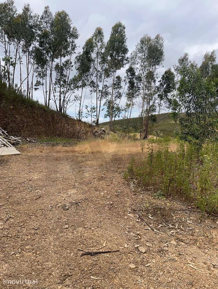 Terreno Rústico de 2,9 ha com Potencial Agrícola e Florestal – Senhora - Grande imagem: 5/41