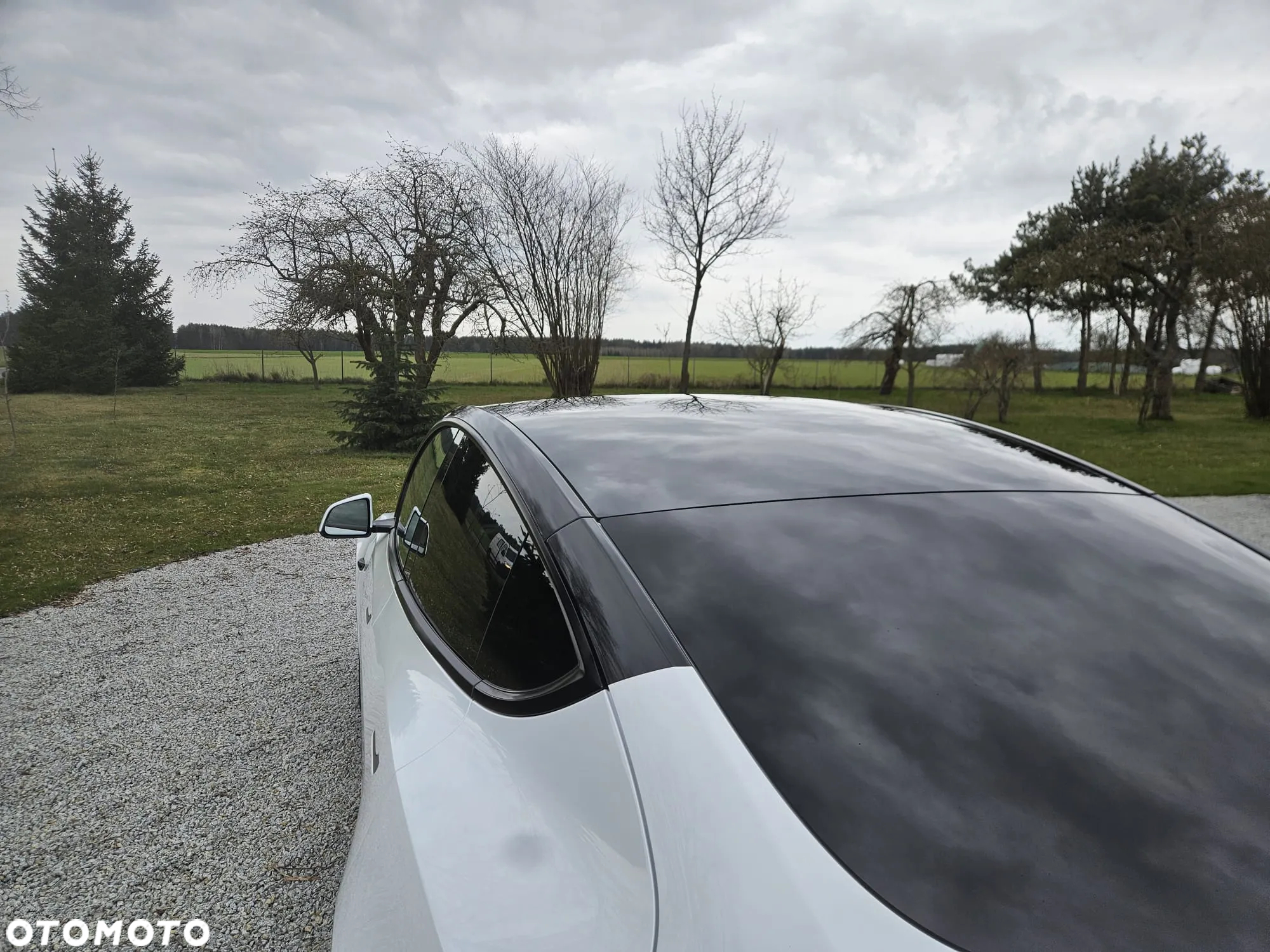 Tesla Y Model RWD - 12