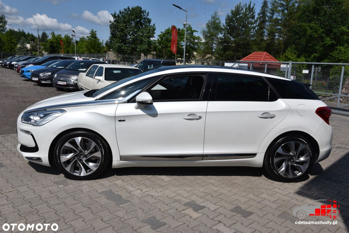 Citroën DS5 2.0 HDi Hybrid4 Pure Pearl MCP - 8