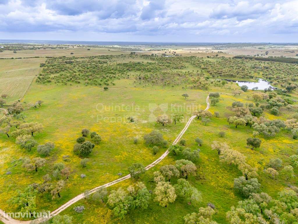 Herdade com 69,625 ha para venda em Alcácer do Sal - Grande imagem: 2/26