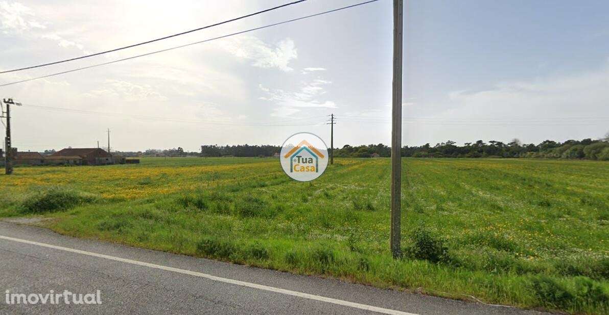 QUINTAS DO NORTE – MURTOSA - Grande imagem: 5/13