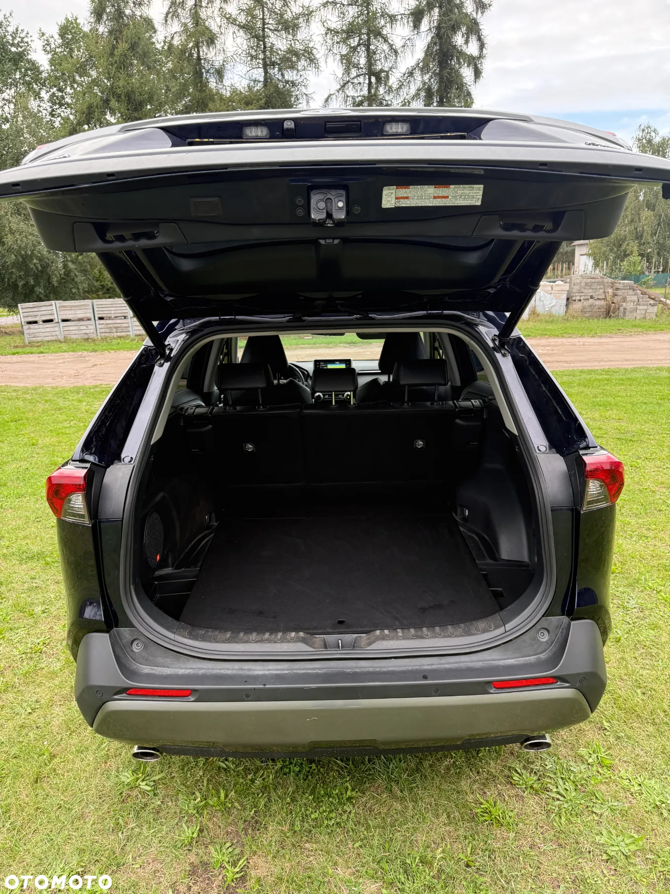 Toyota RAV4 2.5 Hybrid Executive 4x2 - 7