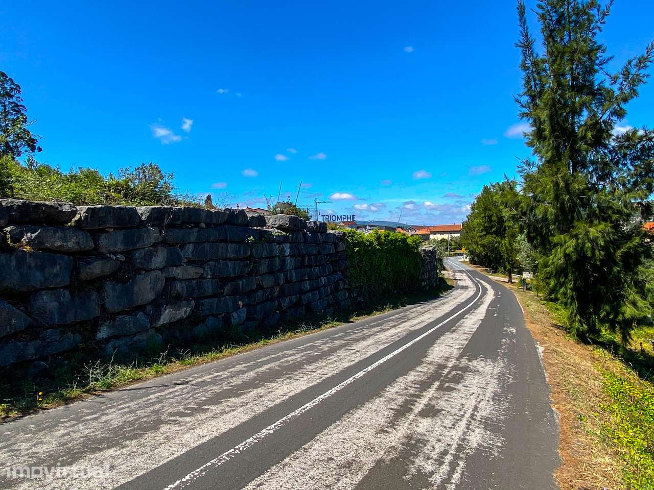 Terreno Rústico Viabilidade de Construção - Carvalhinho, Porto de Mós - Grande imagem: 4/20