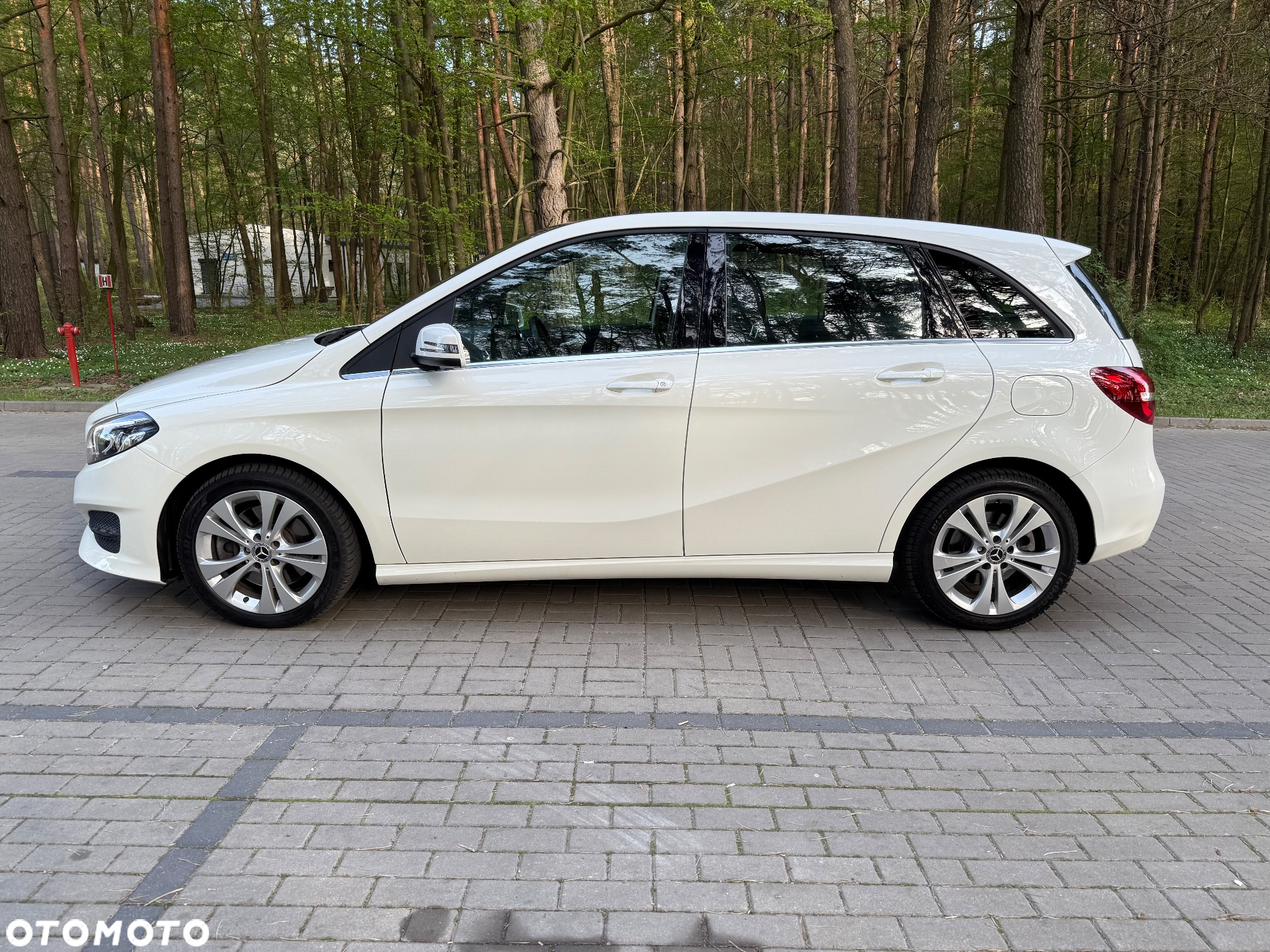 Mercedes-Benz Klasa B 250 4-Matic - 4