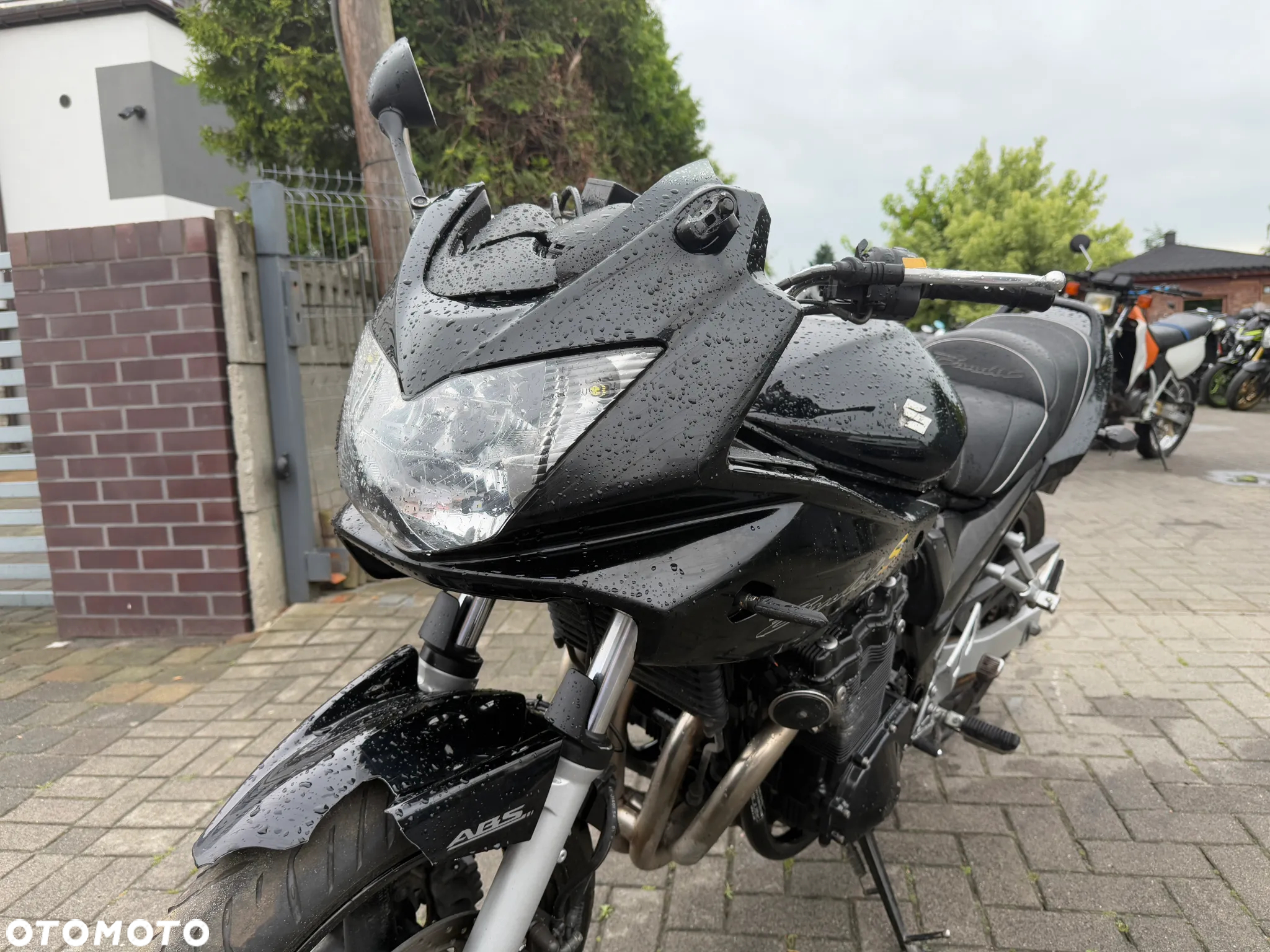 Suzuki Bandit - 20
