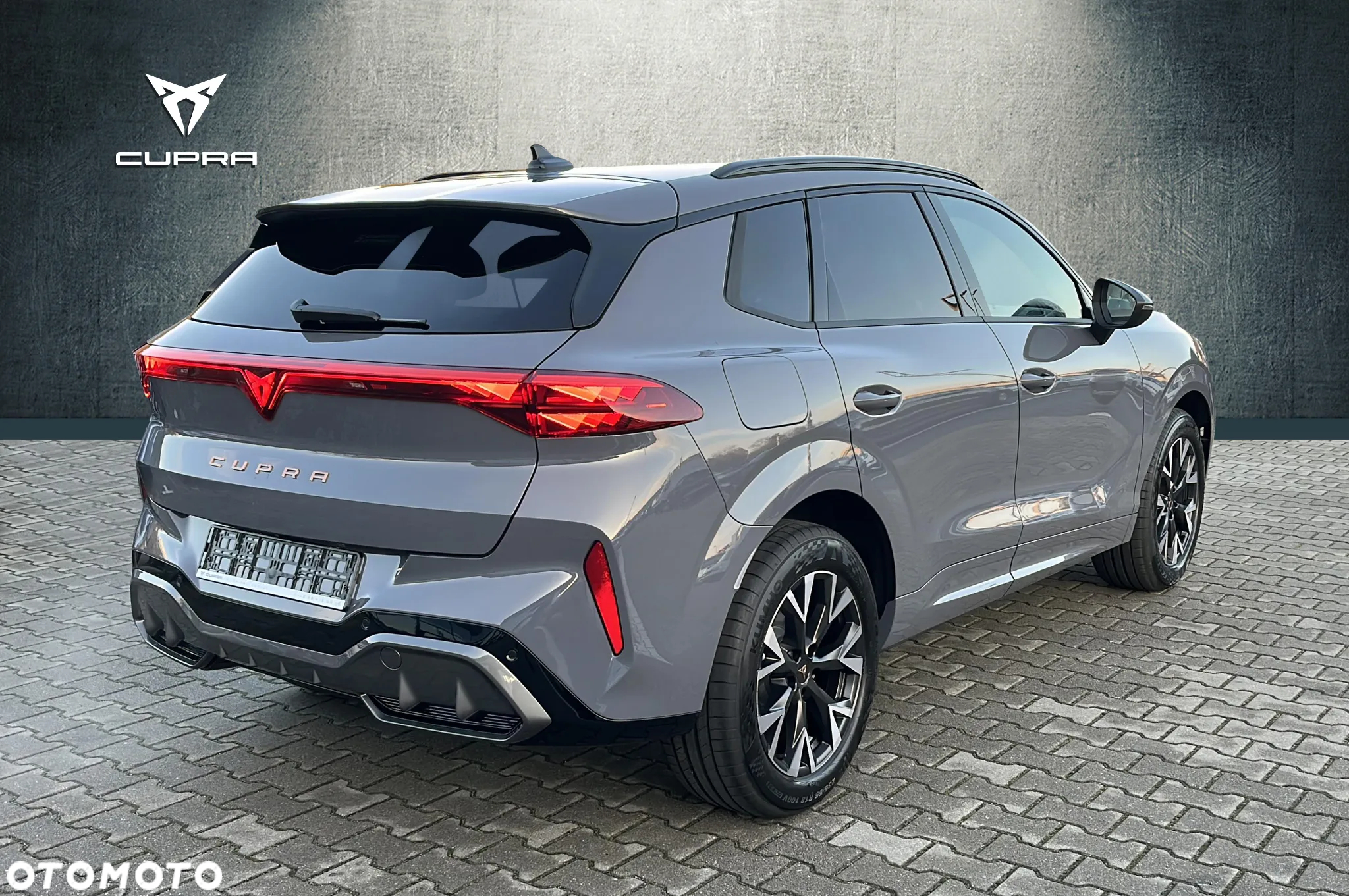 Cupra Terramar 2.0 TSI 4Drive VZ DSG - 6
