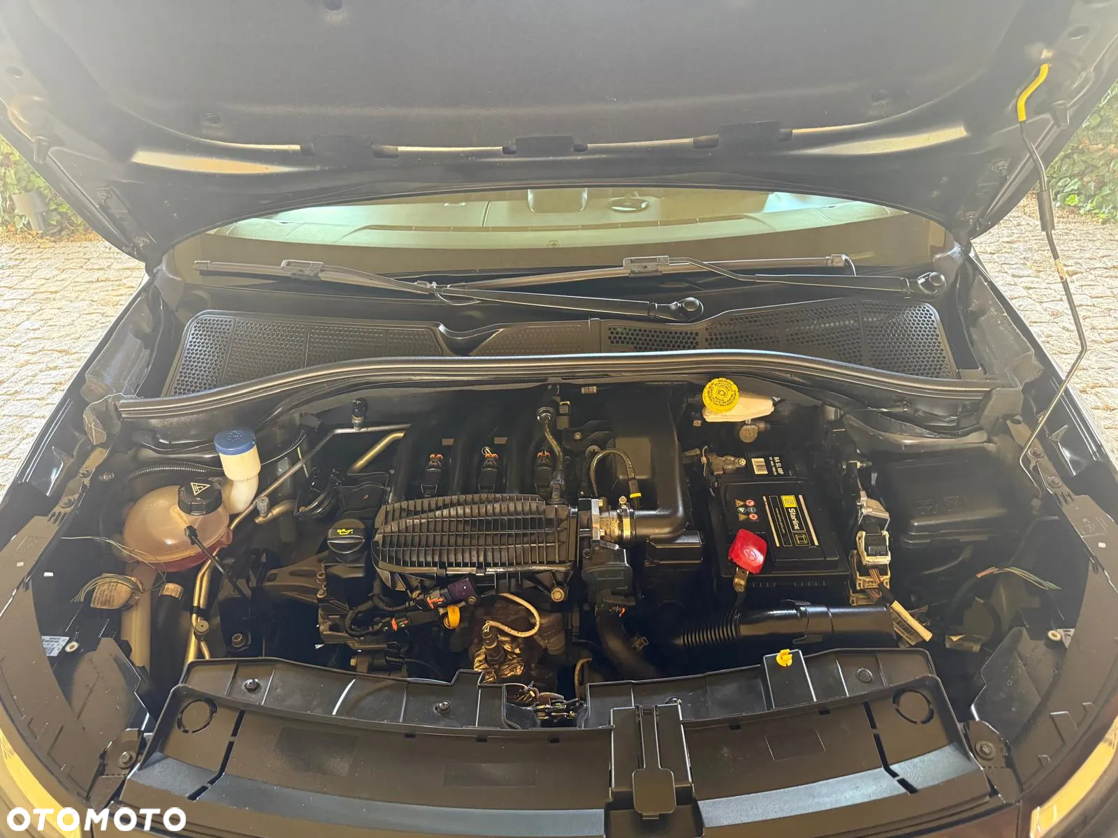 Citroën C4 Cactus 1.2 PureTech Feel - 30