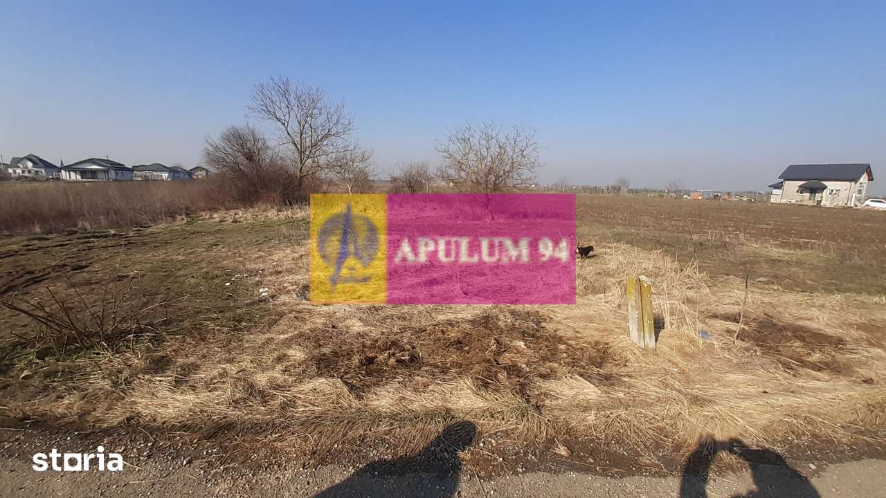 Teren investitie Ilfov - Imagine principală: 5/5