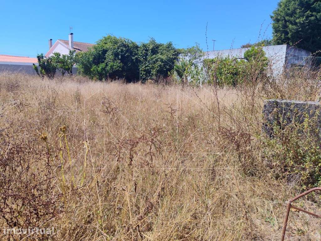 Terreno Urbano para Construção | Santo André, Vagos - Grande imagem: 2/2