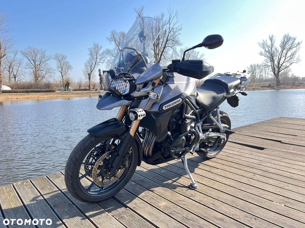 Triumph Tiger - 5