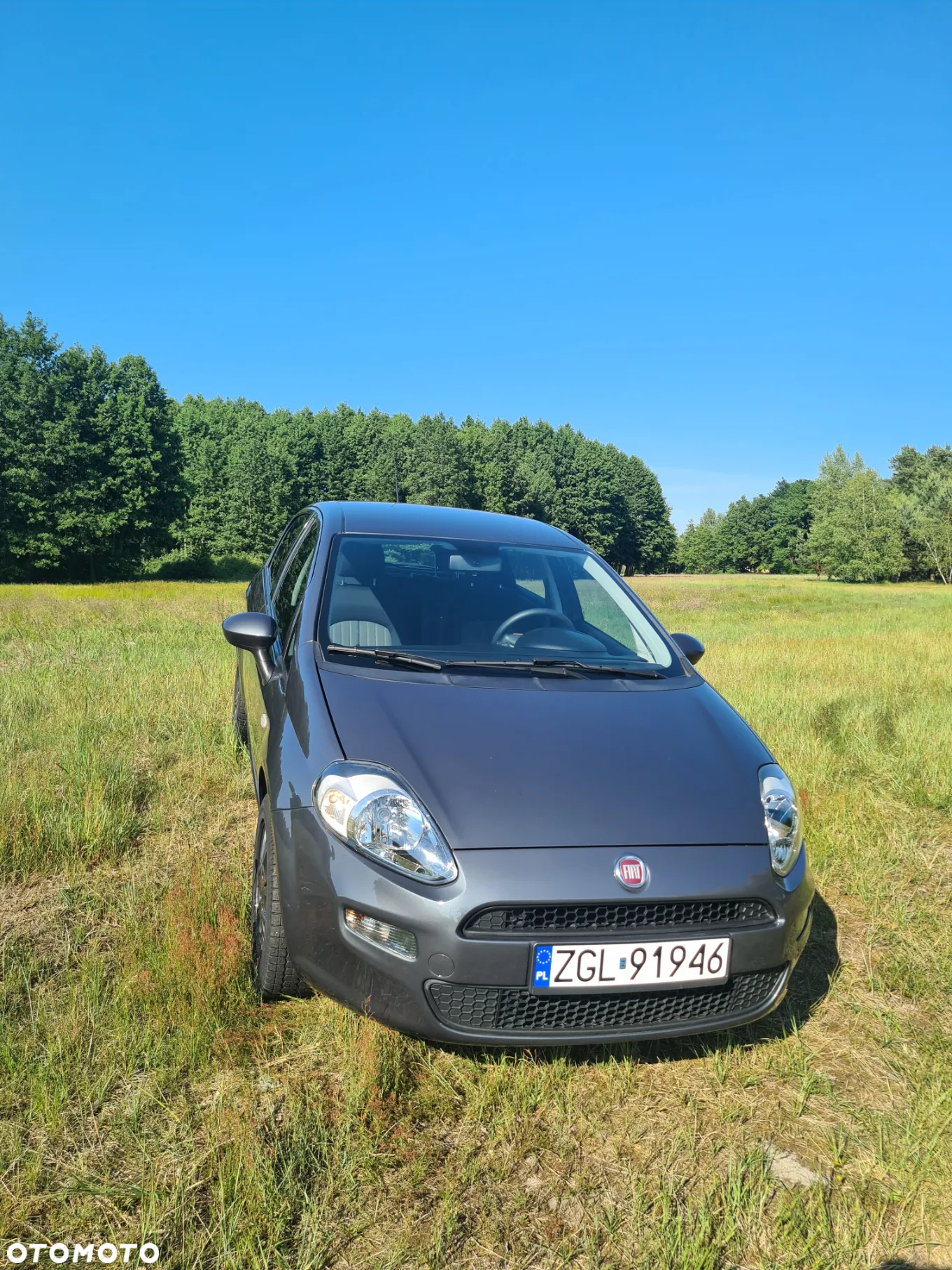 Fiat Punto - 2