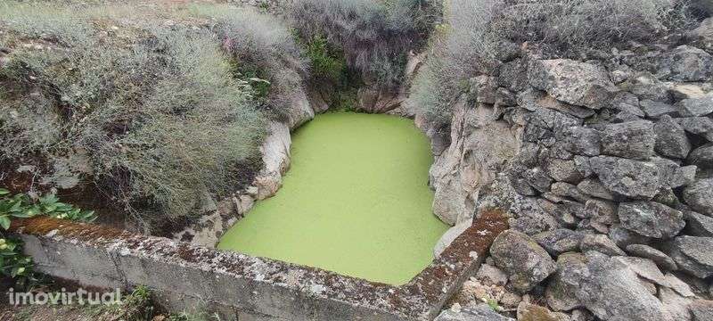 Quintinha no Douro - Grande imagem: 5/12