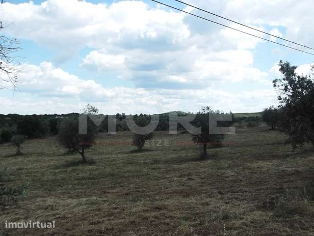 Terreno - Évora/Redondo - Grande imagem: 2/6