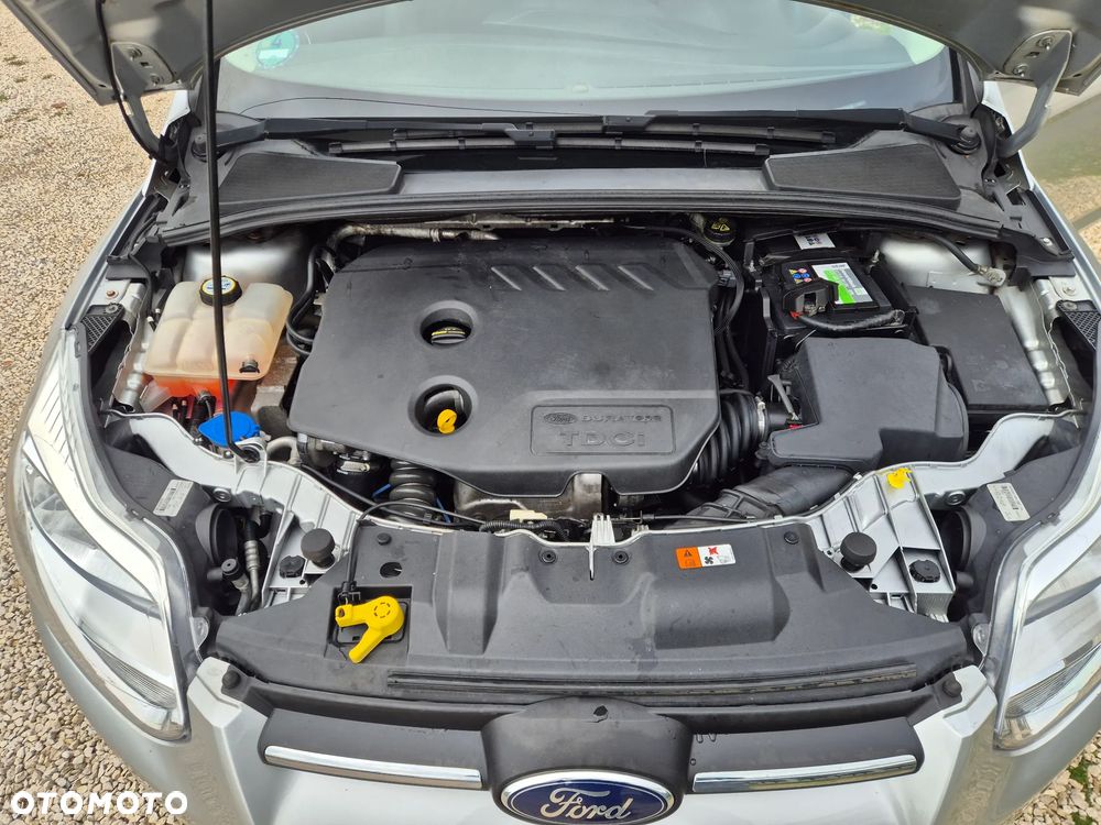 Ford Focus - 17